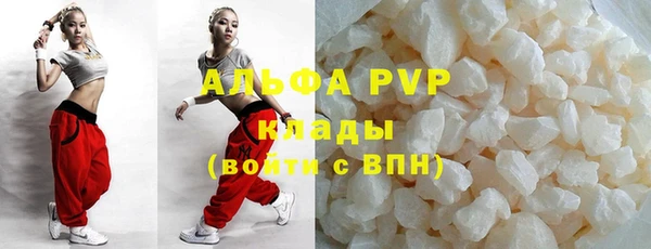 гидра Бородино