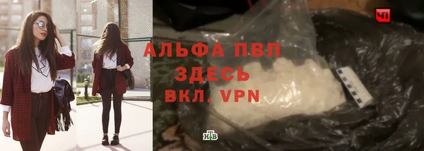 гидра Бородино
