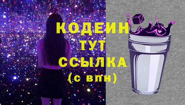 крисы Богородицк