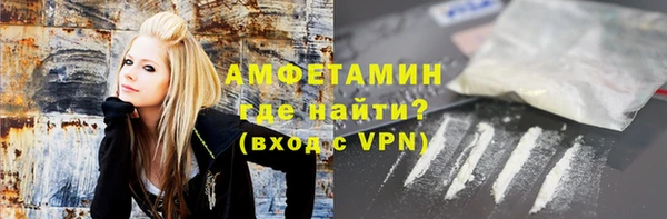 крисы Богородицк