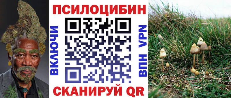 Галлюциногенные грибы Psilocybine cubensis Гремячинск